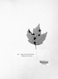 Image Associated With the Occurence